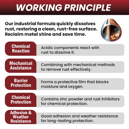 Flysmus® Instant Shine Metal Cleaner and Rust Remover